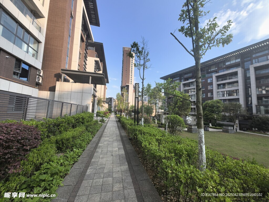 校園林蔭小道景觀