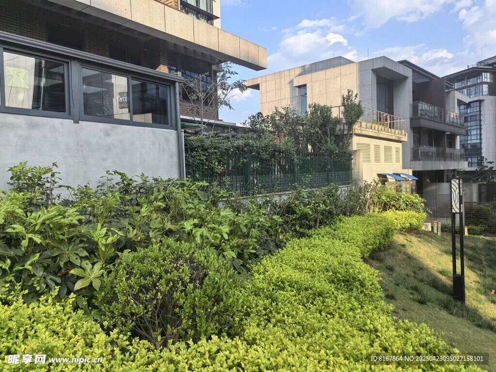 現代住宅旁的綠植景觀