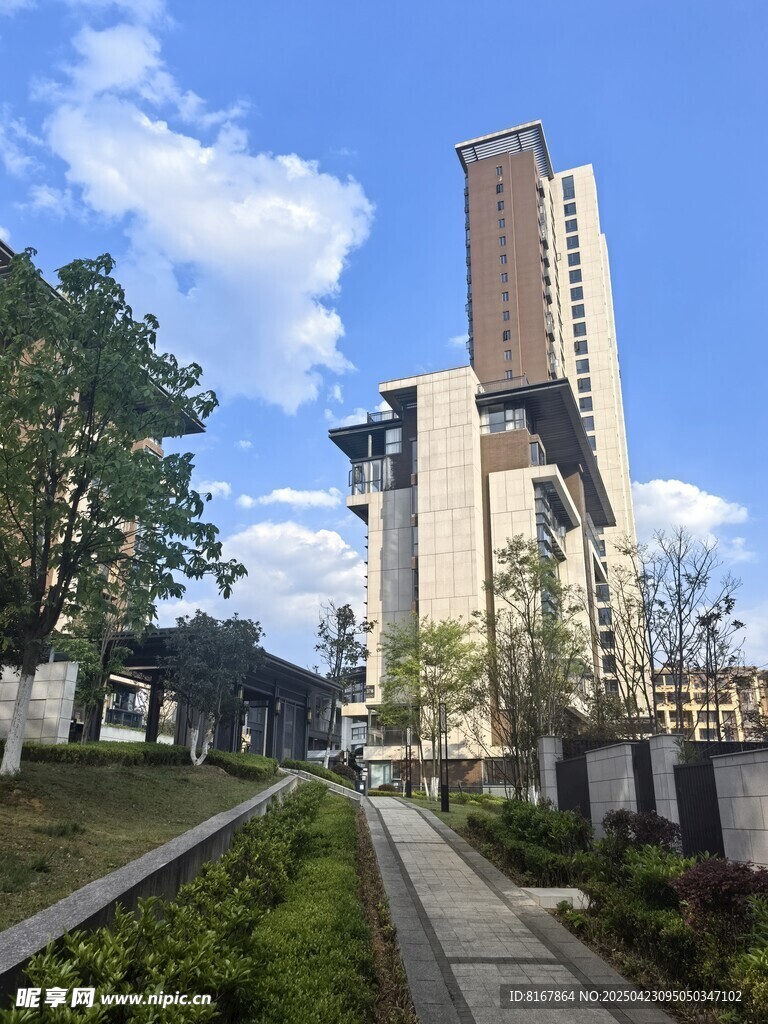 城市中高樓旁的林蔭步道
