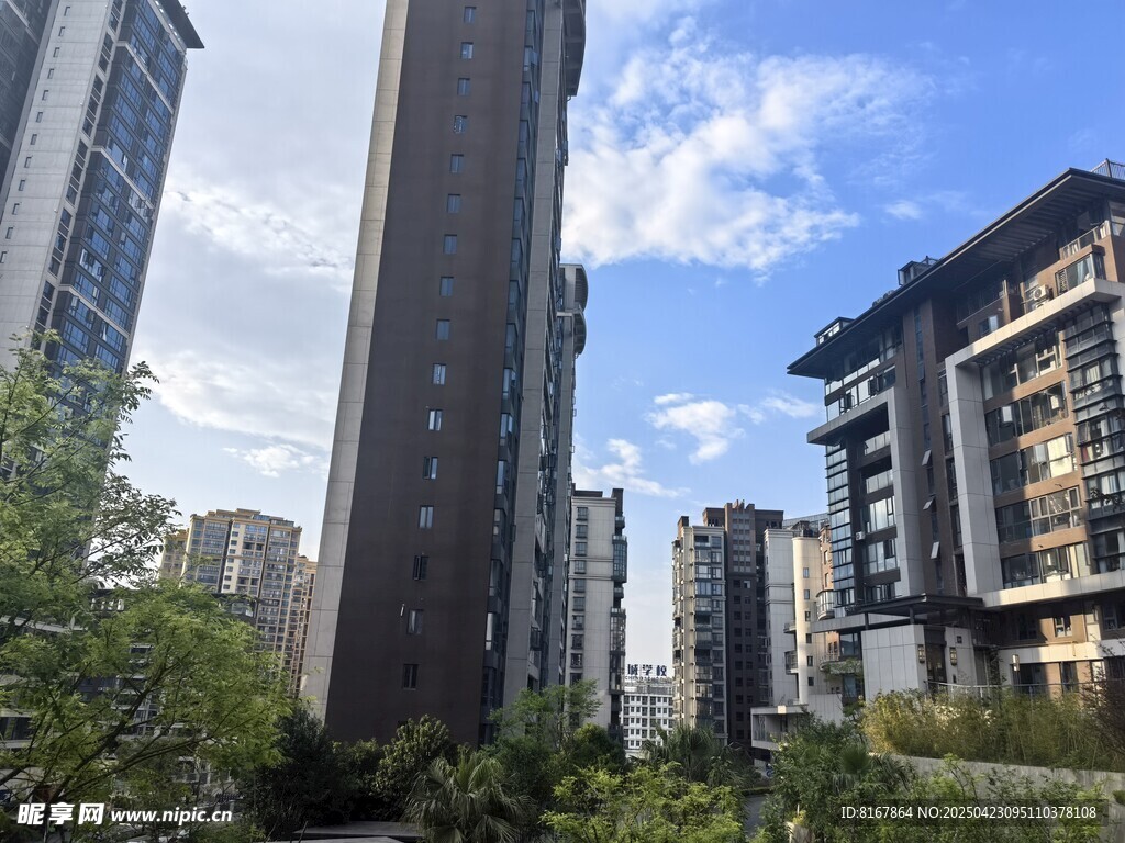 城市高樓間的綠植景觀