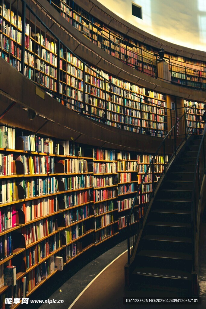 弧形書架圖書館內景
