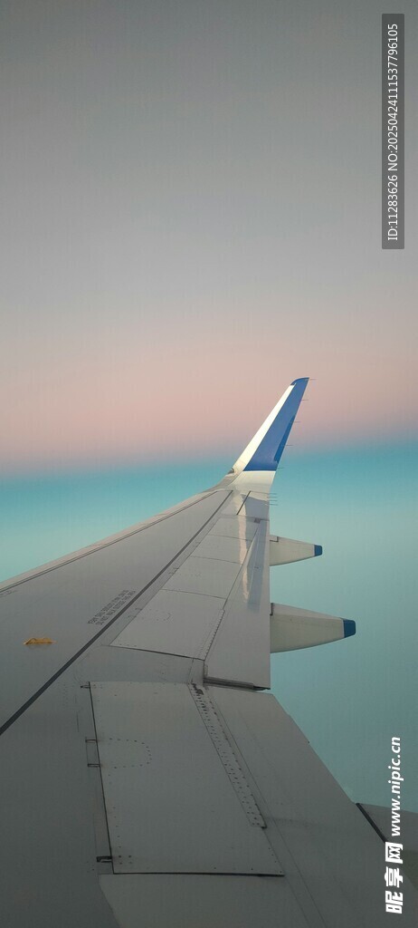 飛機機翼