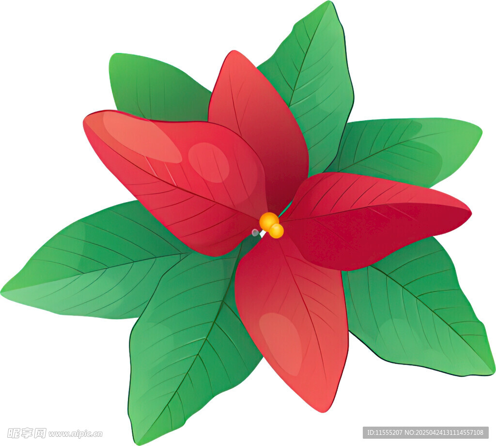 紅色花朵配綠葉插畫