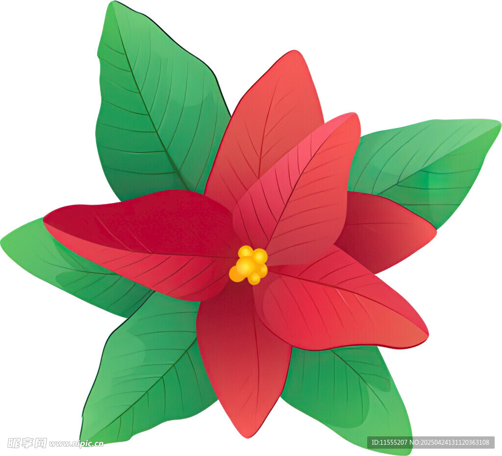 紅色花朵配綠葉插畫