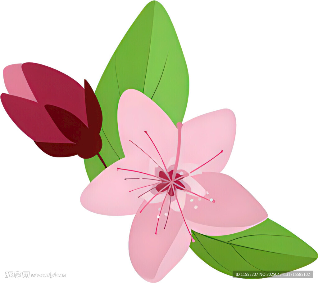 粉色花朵與綠葉插畫