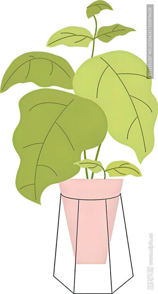 粉色花盆中的綠植