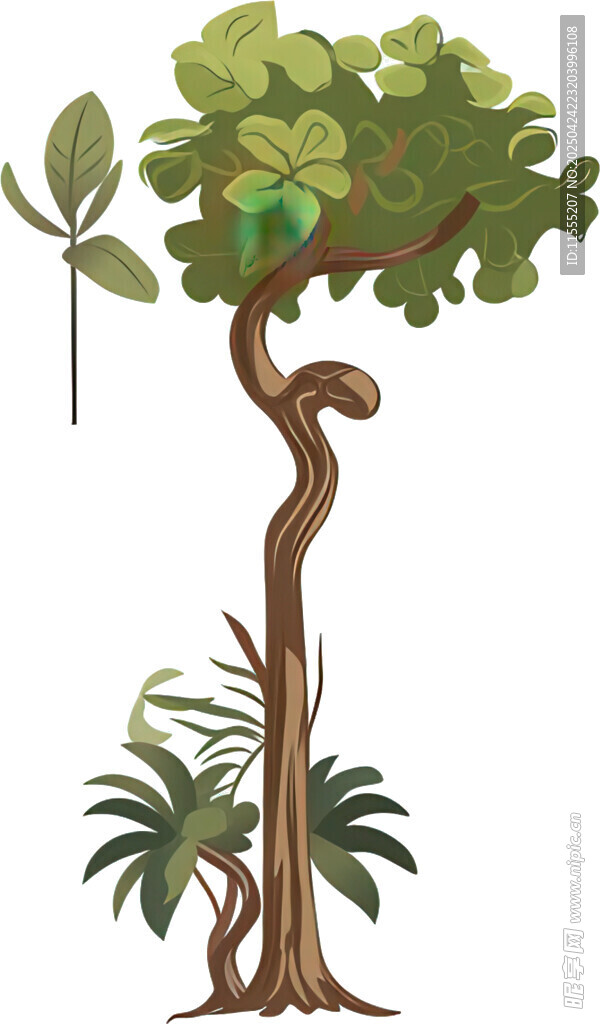 熱帶植物插畫