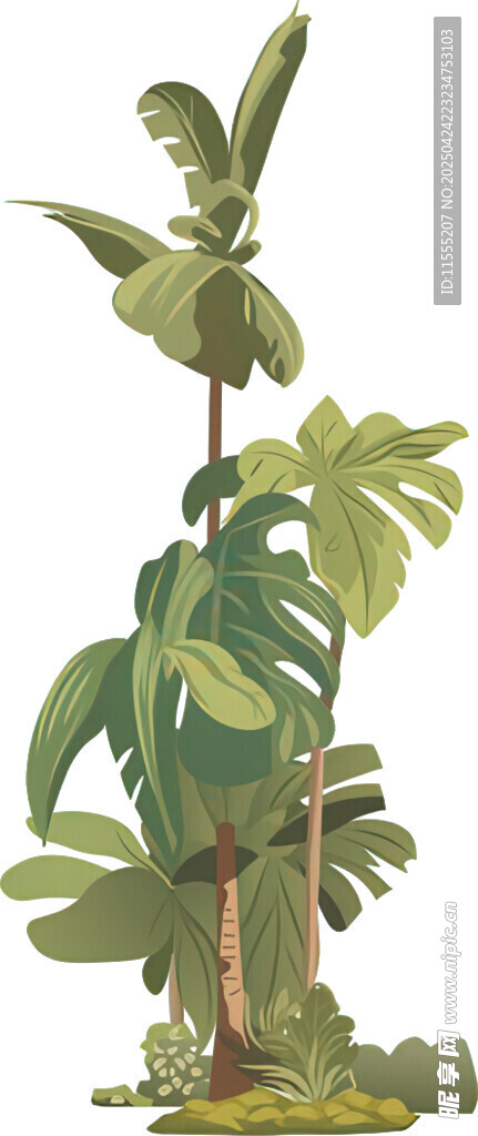 熱帶綠植景觀