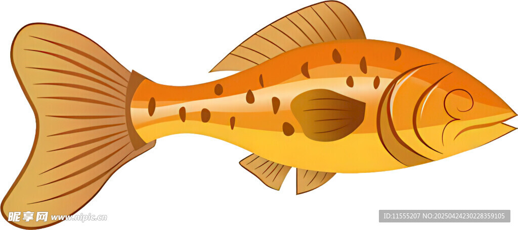 橙色斑點(diǎn)魚插畫