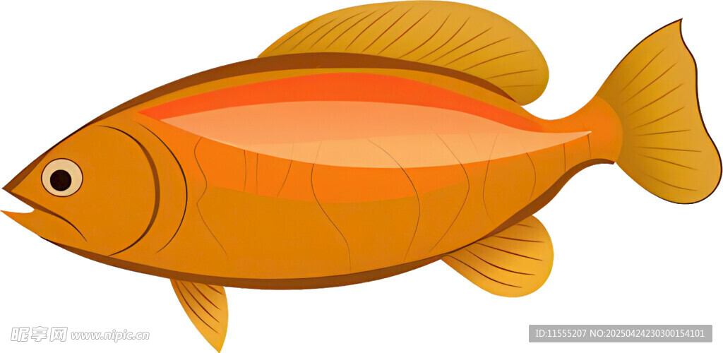 橙色金魚插畫