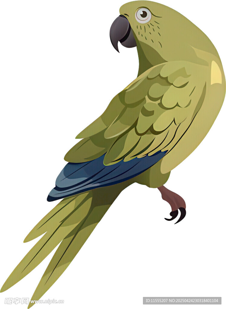 綠鸚鵡插畫