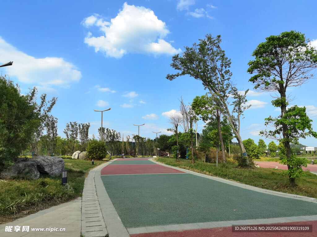 公園步道