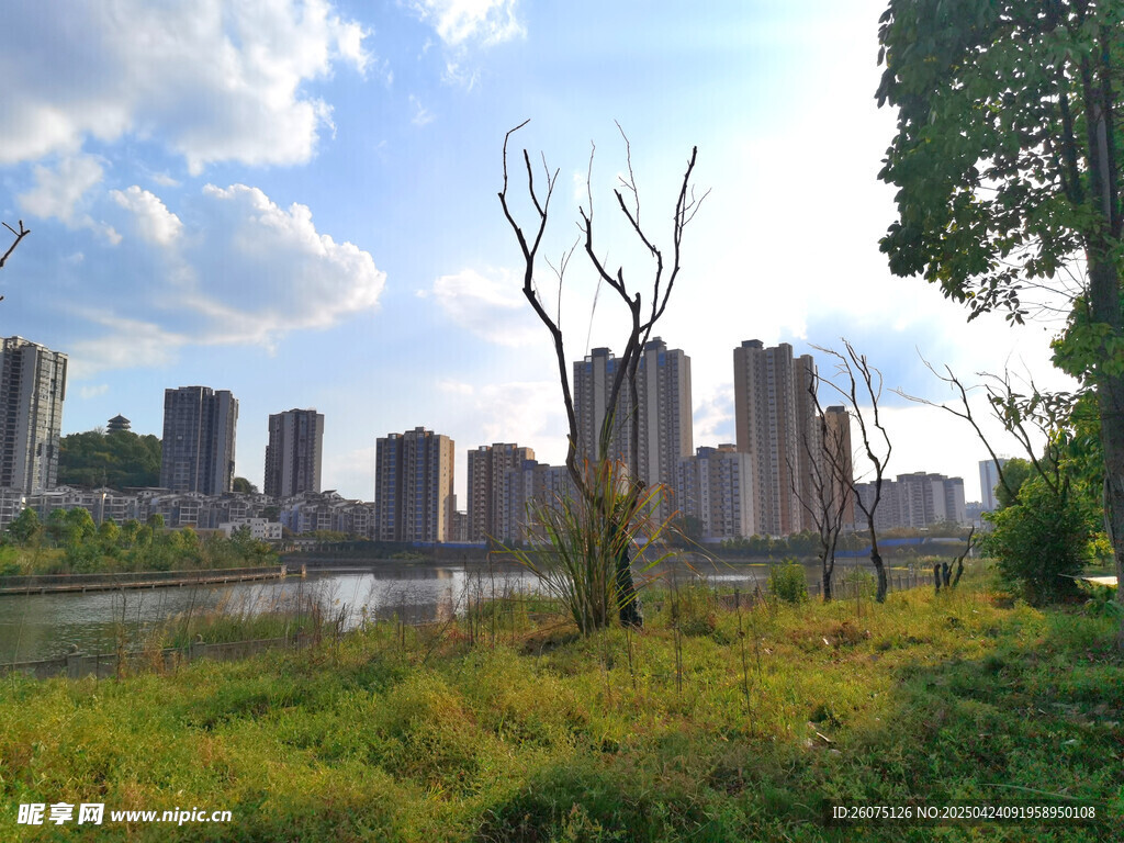 城市河畔