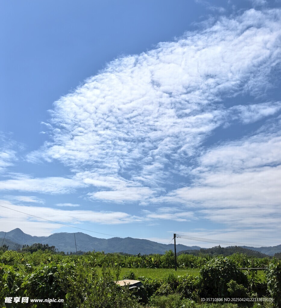 藍(lán)天白云下的綠野風(fēng)光