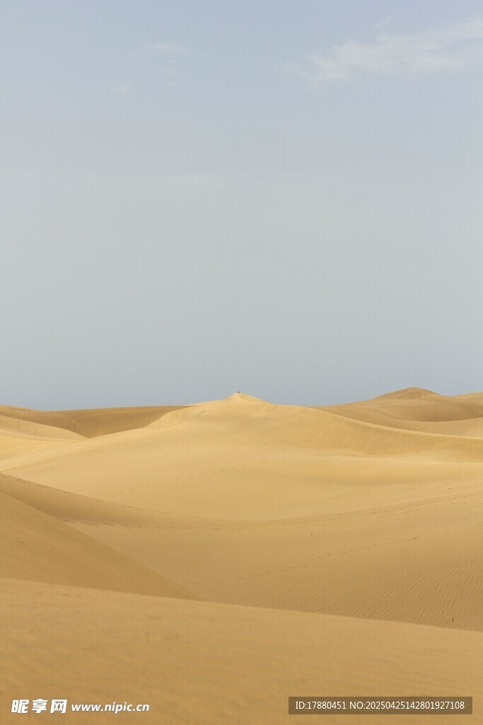 廣袤沙漠景觀