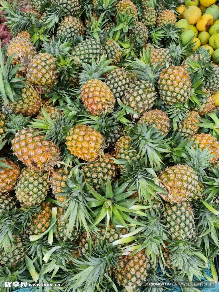 大量新鮮菠蘿堆疊