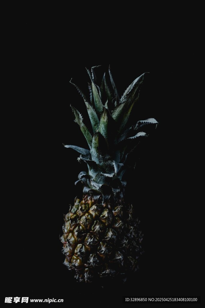 黑色背景下的新鮮菠蘿
