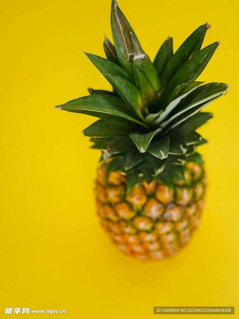 黃色背景上的迷你菠蘿