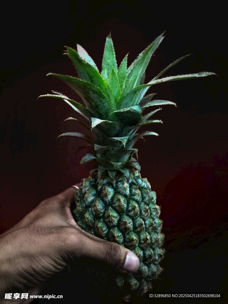 手捧新鮮菠蘿