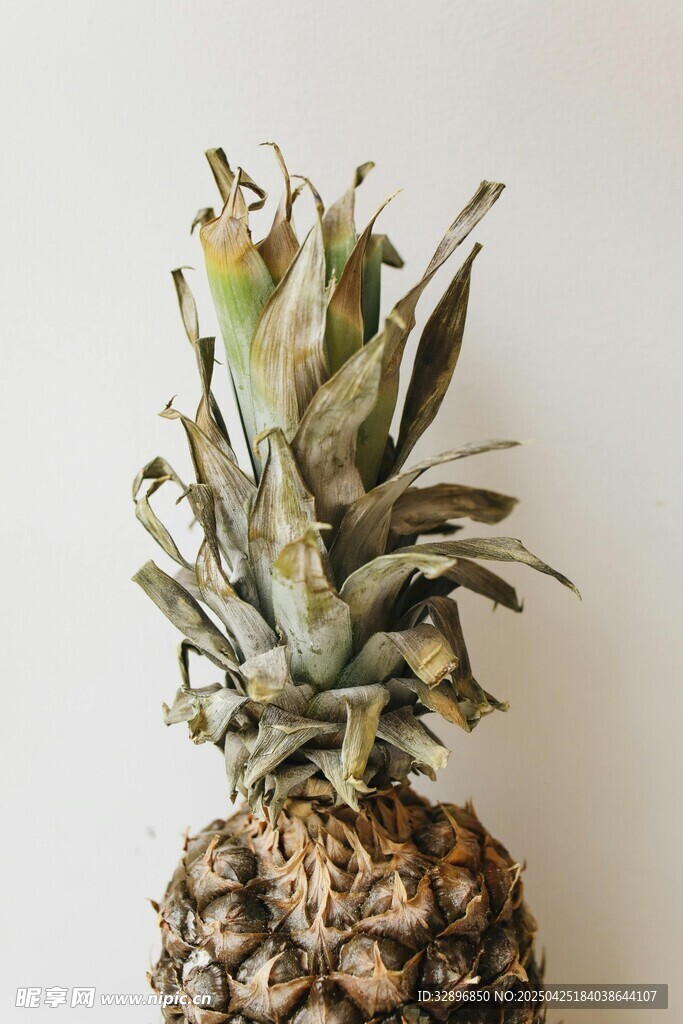 單個菠蘿特寫