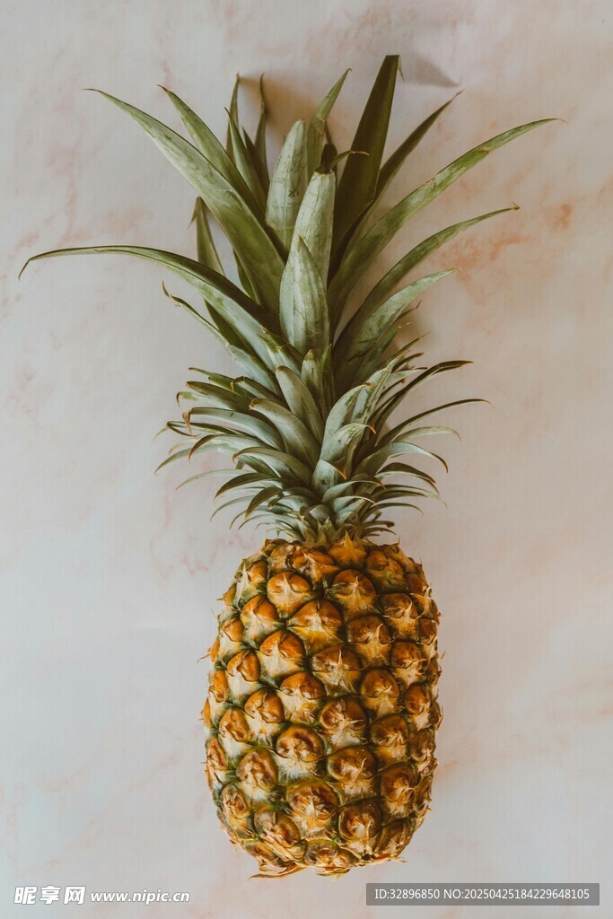 金黃飽滿的新鮮菠蘿