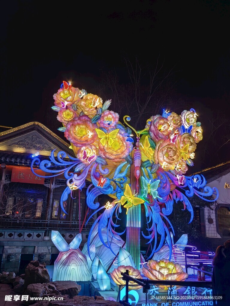絢麗蝴蝶彩燈夜景展示