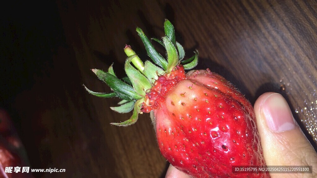 手捧鮮紅帶葉大草莓
