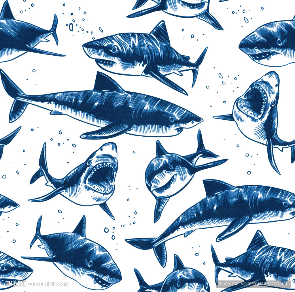 鯊魚