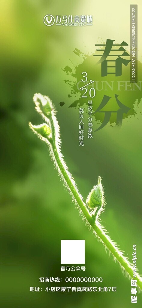 春分節氣海報
