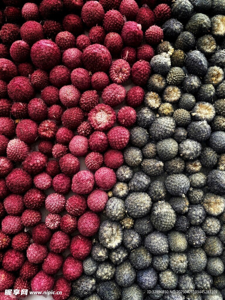紅黑漿果對比圖