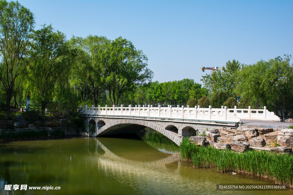 河畔石橋映綠樹美景