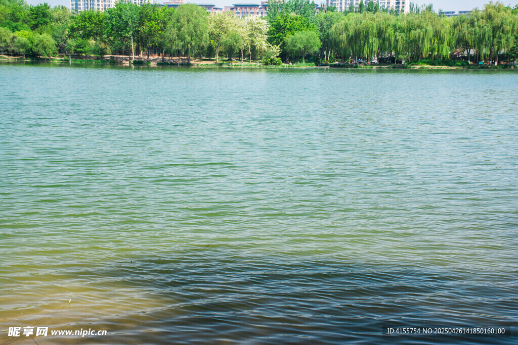 寧靜湖水與蔥郁樹林