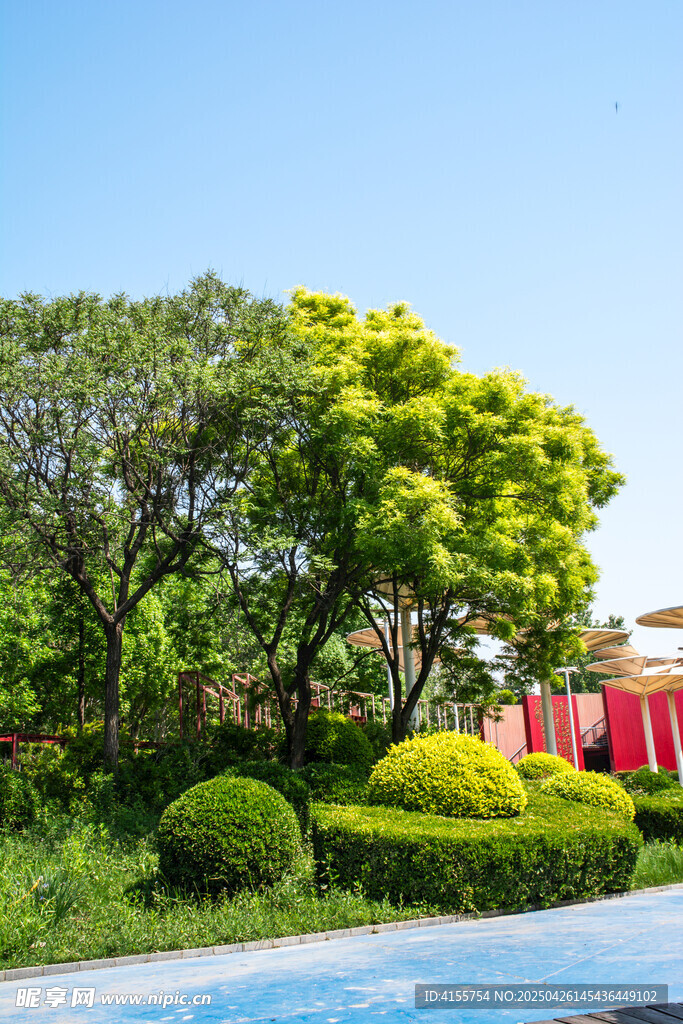 綠意盎然的園林景觀