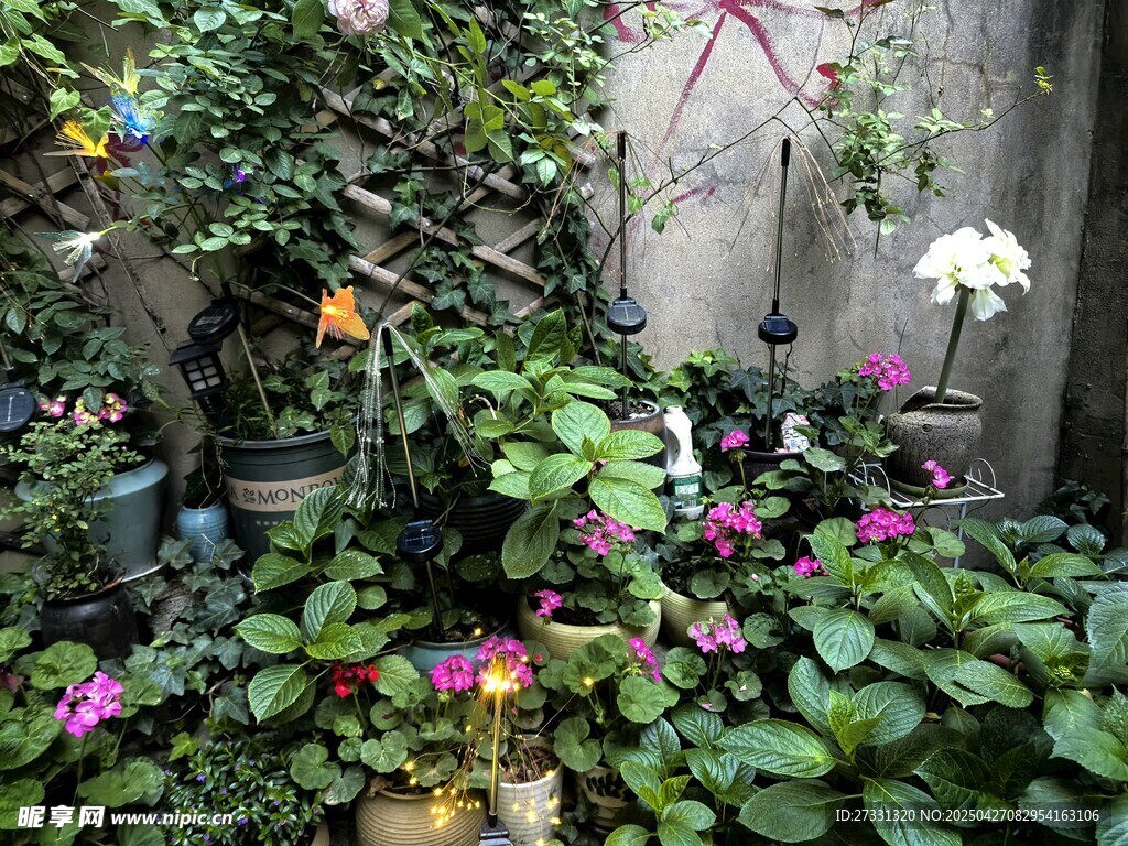 小院多彩花卉綠植景觀