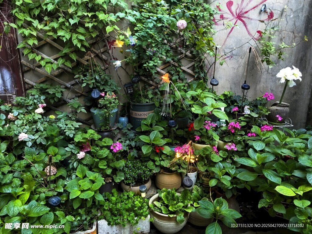 庭院綠植花卉景致