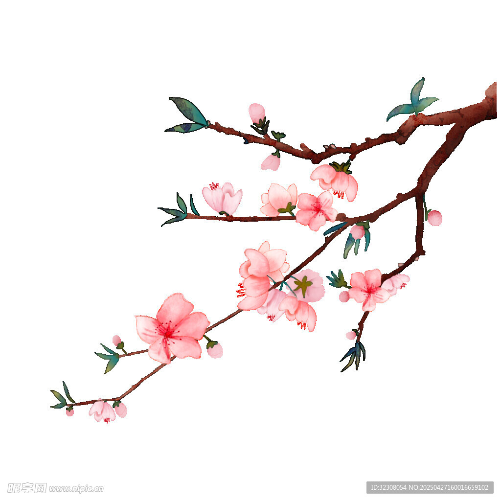 水墨風綻放的粉嫩桃花枝