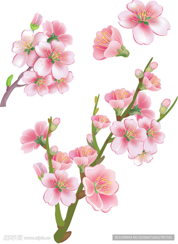 粉嫩桃花枝插畫素材