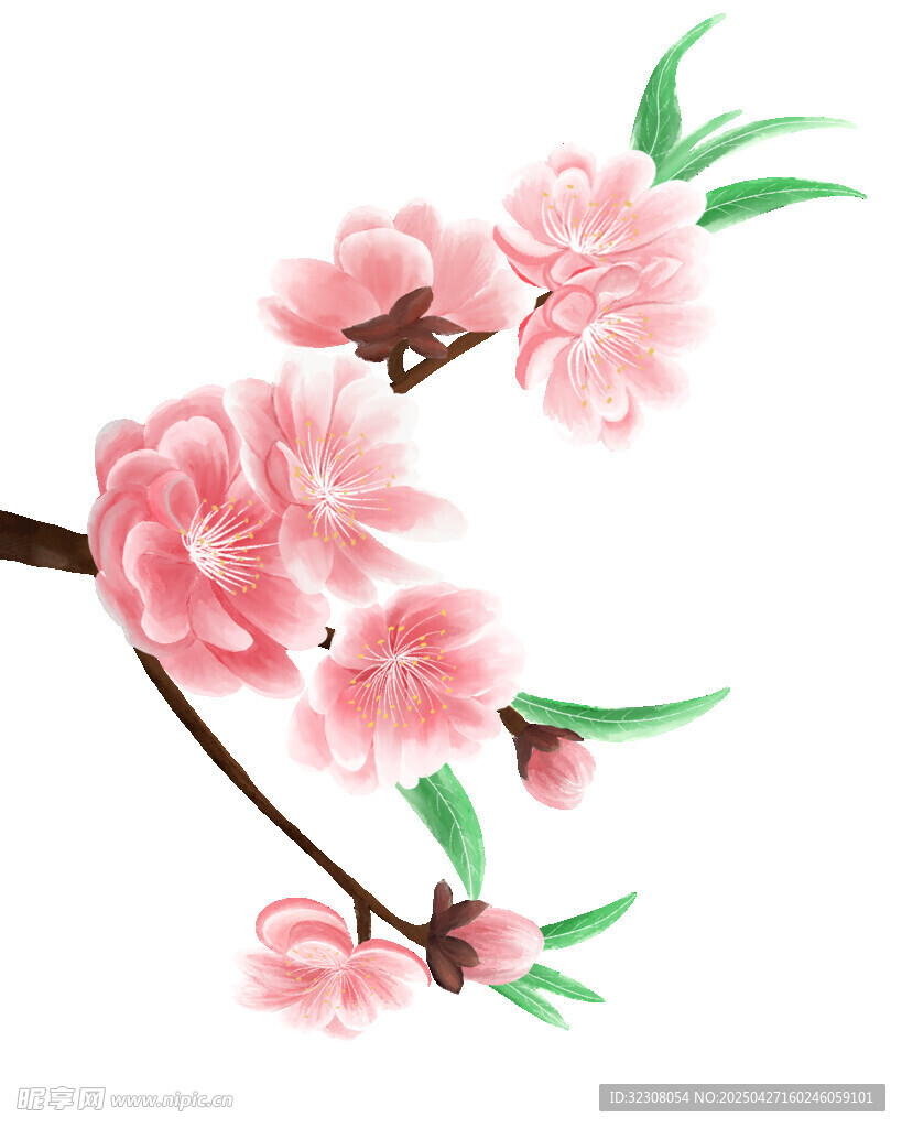 粉色桃花枝