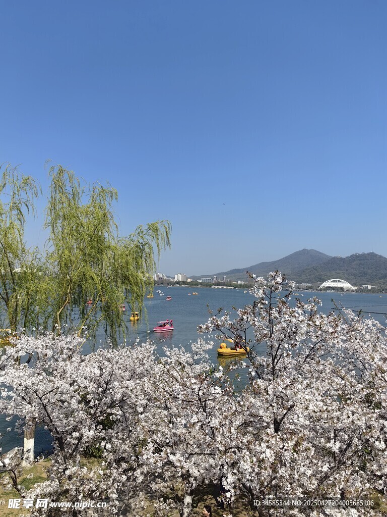湖畔繁花盛開(kāi)美景如畫(huà)