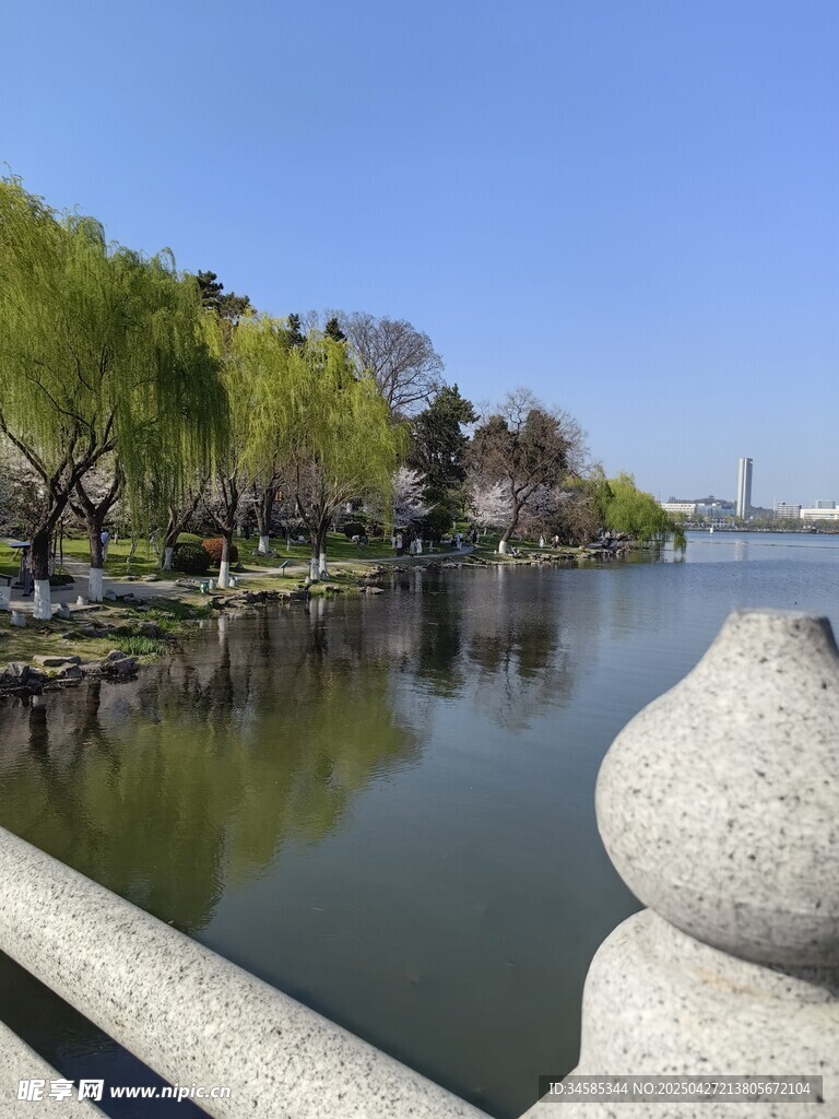 湖畔春景 石欄綠樹映碧水