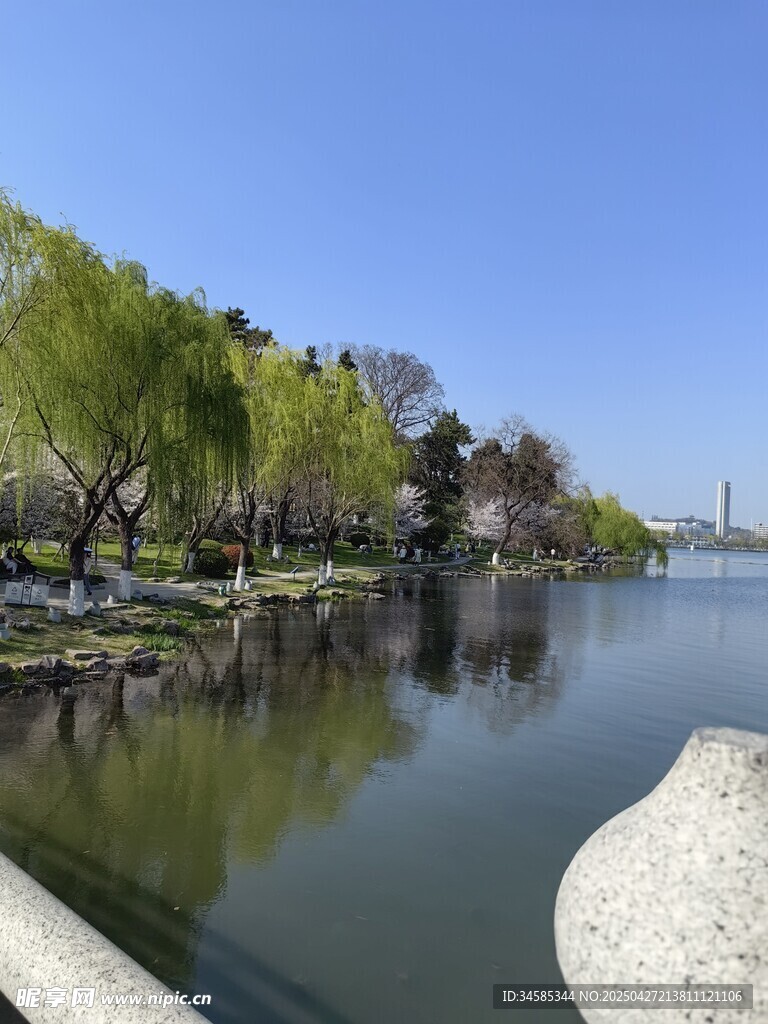 湖畔春景 綠樹碧水藍天