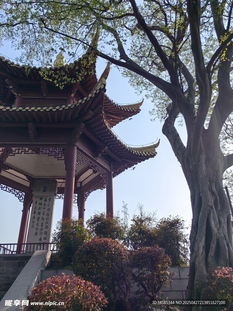 中式?jīng)鐾づ缘姆泵瘶淠? />
                            </div>
                    </div>
                </div>



                <div   id=