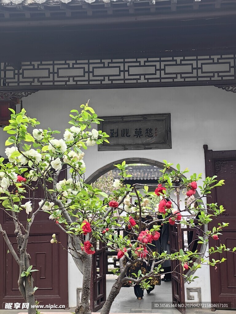 中式庭院繁花點(diǎn)綴景致