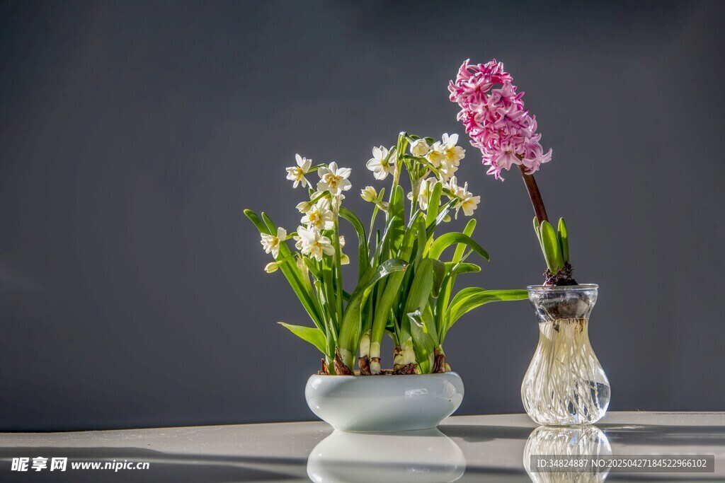花瓶中的風(fēng)信子與綠植