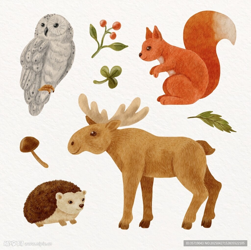 森林小動物插畫集合