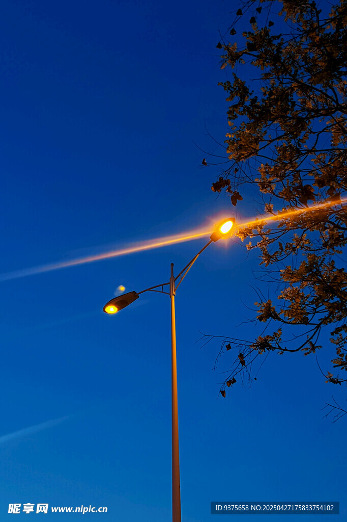 夜幕下的路燈與璀璨光線