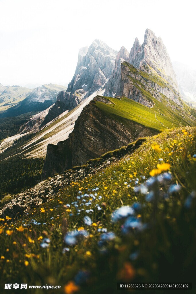 山間美景繁花與峻嶺