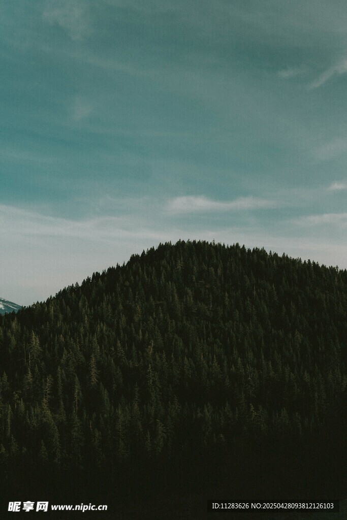 山林暮色