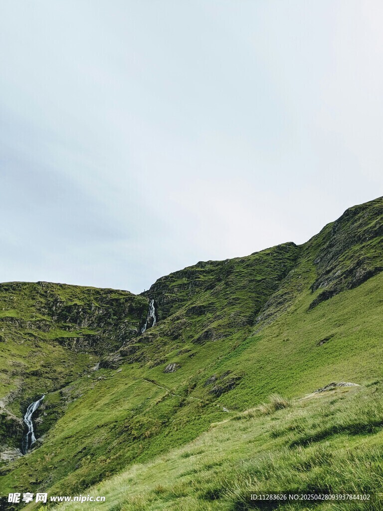 翠綠山坡上的自然美景