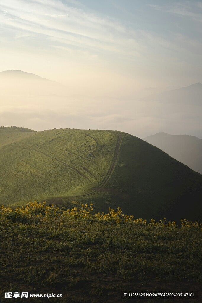 山間美景 綠意盎然的黃昏